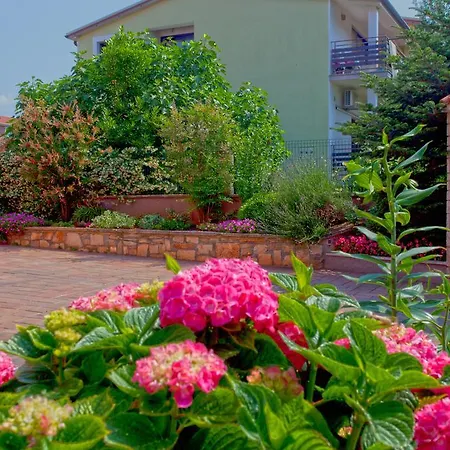 Daniela Novigrad Istria