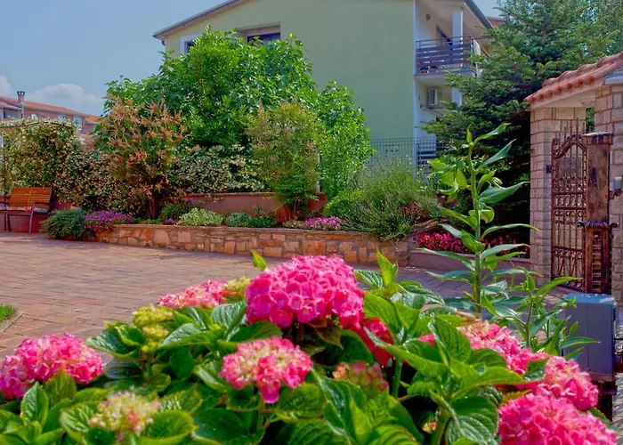 Daniela Novigrad Istria